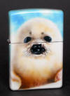 Foca