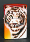 White Tiger